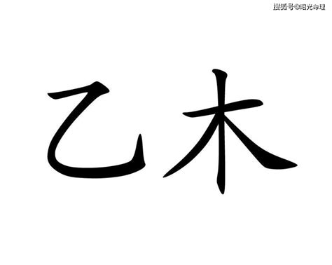 乙木人八字|乙木生于各月详解